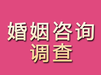 额尔古纳婚姻咨询调查